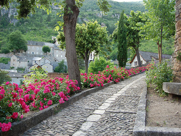 a flowered walkway leads to the beginning of the village's exploration