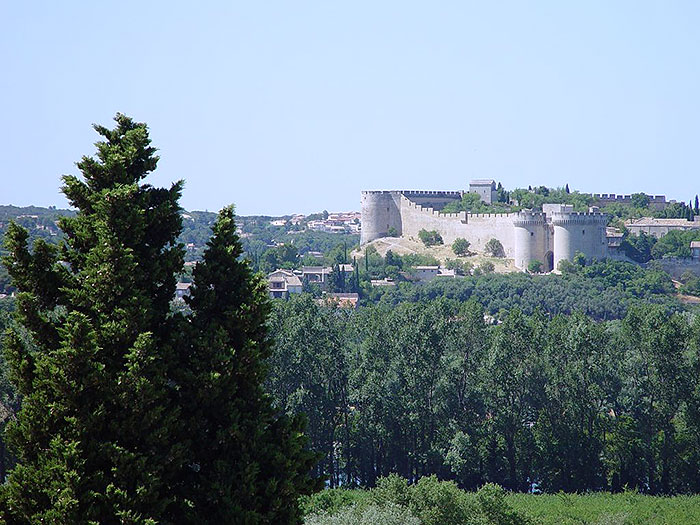 Villeneuve les Avignon across the Rhone