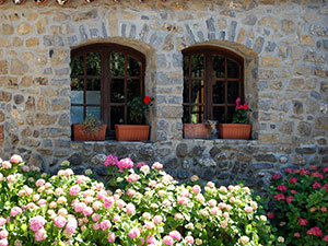 cevennes flowers and stone houses