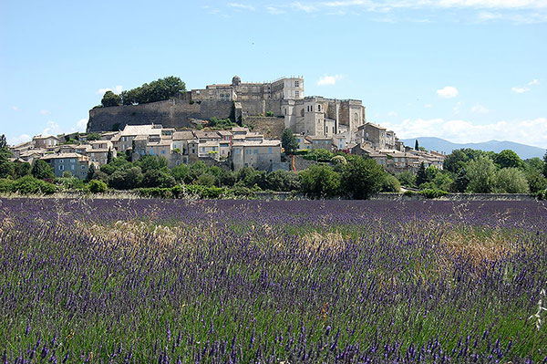 Grignan set on a mount, with lavender all around