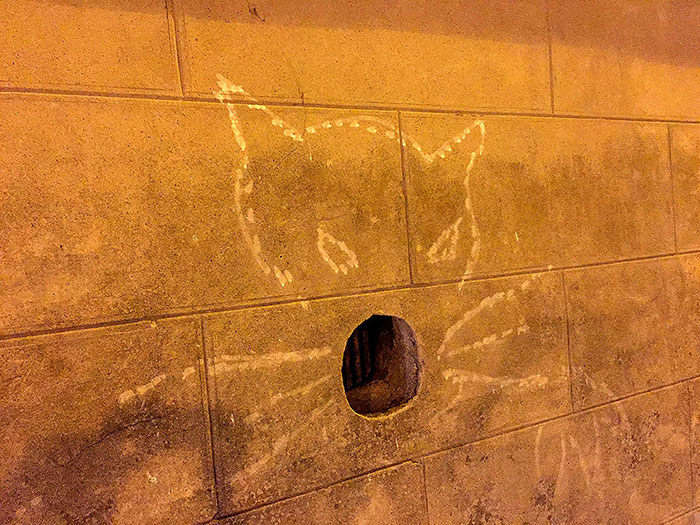 Cat art in Uzes France
